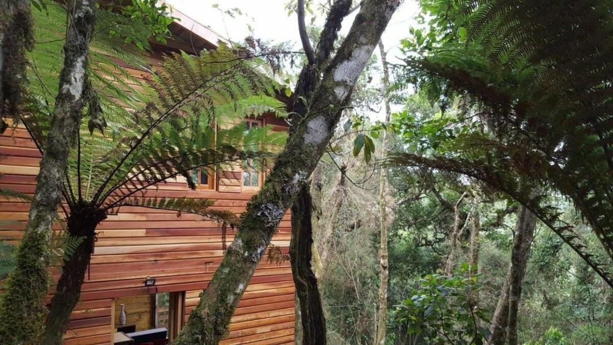 Chalé dos tucanos Campos do Jordão Exterior foto